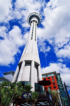 Sky Tower, Auckland, North Island, New Zealand, Pacific