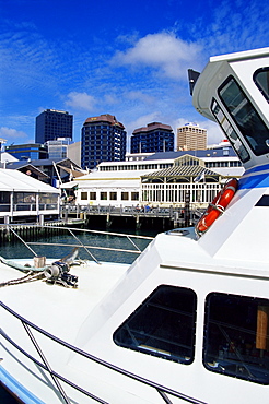 Queens Wharf, Wellington, North Island, New Zealand, Pacific