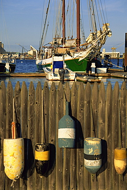 Buoys, Waterboat Marina, Boston, Massachusetts, New England, United States of America, North America