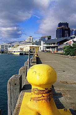 Customhouse Quay, Wellington, North Island, New Zealand, Pacific