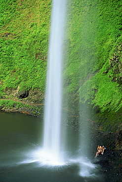 South Falls, Silver Falls State Park, Oregon, United States of America, North America