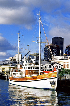 Customhouse Quay, Wellington, North Island, New Zealand, Pacific