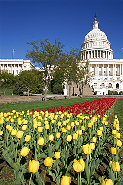 Capitol, Washington D.C., United States of America, North America