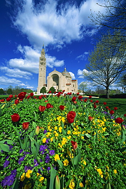 Basilica of the National Shrine of the Immaculate Conception, Washington D.C., United States of America, North America