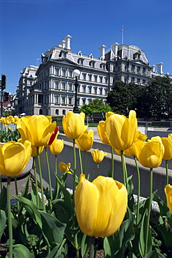 Old Executive Office Building, National Mall, Washington D.C., United States of America, North America