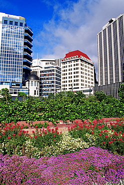 Downtown, Wellington, North Island, New Zealand, Pacific
