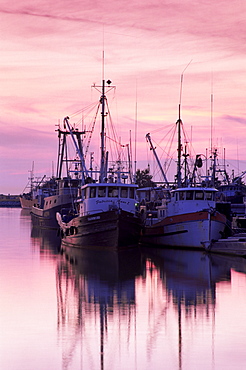 Steveston fishing port, Richmond district, south Vancouver, British Columbia, Canada, North America