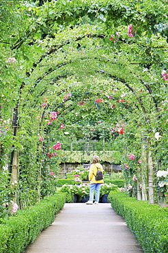 Butchart Gardens, Vancouver Island, British Columbia, Canada, North America