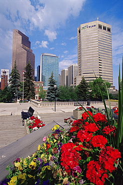 Skyline from Board of Education, Calgary, Alberta, Canada, North America