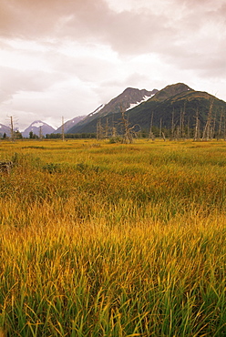 Portage region, Seward Scenic Highway, Alaska, United States of America, North America