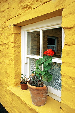 Detail of large farm house, Muckross traditional farms, Killarney, County Kerry, Munster, Republic of Ireland, Europe