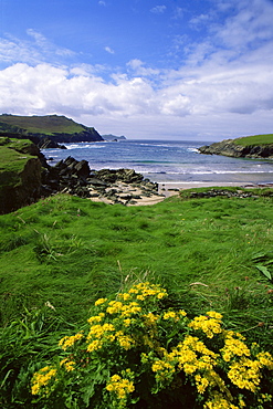 Dunquin Beach, Slea Head, Dingle Peninsula, County Kerry, Munster, Republic of Ireland, Europe