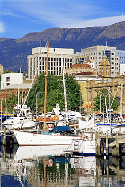 Constitution Dock, Hobart, Tasmania, Australia, Pacific