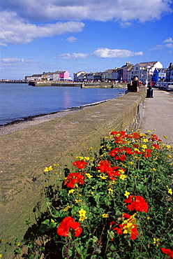 Donaghadee harbour front, Ards Peninsula, County Down, Ulster, Northern Ireland, United Kingdom, Europe