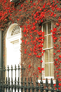 Georgian door, St. Stephen's Green, Dublin City, Republic of Ireland, Europe