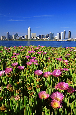 City skyline from Coronado Island, San Diego, California, United States of America, North America