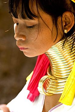 Long neck woman, Karen Padaung, Chiang Mai, Thailand, Southeast Asia, Asia