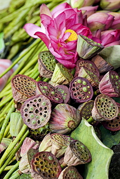 Lotus, street vendors produce, Dali, Yunnan, China, Asia