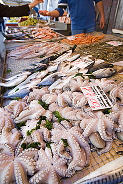 Fish stall in street market, Ortygia, Syracuse, Sicily, Italy, Europe