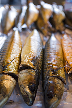 Smoked herring in Fish Market, Bruges, Belgium, Europe