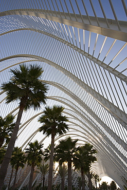 L'Umbracle, Ciutat de les Arts i de les Ciencies, City of Arts and Sciences, Valencia, Costa del Azahar, Spain, Europe