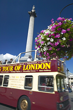 London tour bus passing Nelson's Column, Trafalgar Square, London, England, United Kingdom, Europe