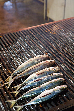 Mackerel on grill, street market, Palermo, Sicily, Italy, Europe