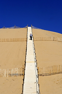 Man climbing steps leading up to Dunes du Pyla, Bay of Arcachon, Cote d'Argent, Aquitaine, France, Europe