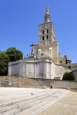 Notre Dame des Doms Cathedral, UNESCO World Heritage Site, Avignon, Provence, France, Europe