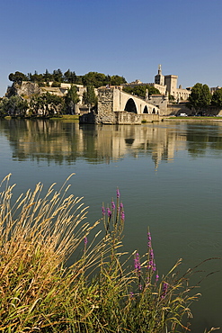 Pont Saint-Benezet and Avignon city viewed from across the River Rhone, Avignon, Provence, France, Europe