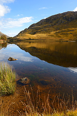 Reflection of autumn colours, Loch Eilt, Highlands, Scotland, United Kingdom, Europe 