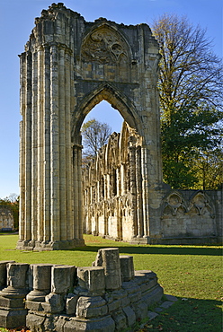 Ruins of St. Mary's Benedictine Abbey, Museum Gardens, York, Yorkshire, England, United Kingdom, Europe