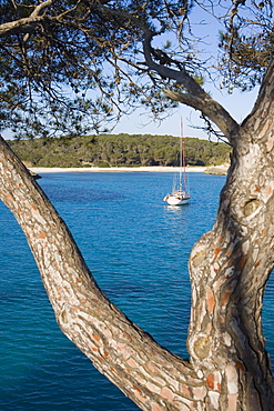 Natural park Cala Mondrago, Santanyi, Majorca, Balearic Islands, Spain, Mediterranean, Europe