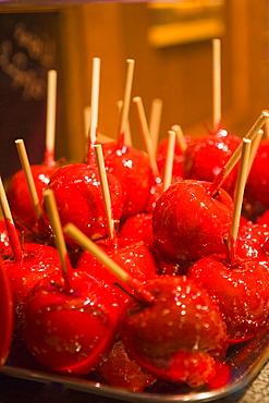 Bewitched apple (toffee apples) at Christmas, Alexander Platz, Berlin, Germany, Europe