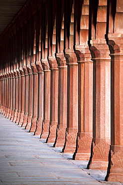 Red sandstone columns, Taj Mahal, UNESCO World Heritage Site, Agra, Uttar Pradesh state, India, Asia