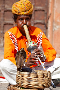 Cobra snake charmer outside the City Palace, Jaipur, Rajasthan, India, Asia