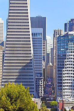 Trans America Building, San Francisco, California, United States of America, North America