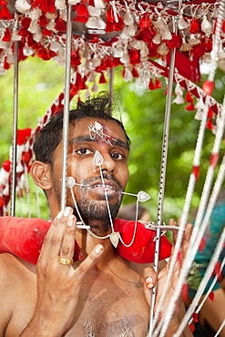 A Hindu devotee carrying portable shrine during Thaipusam in Singapore, Southeast Asia, Asia