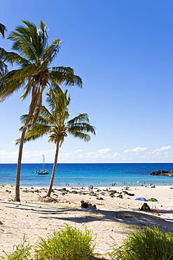 Anakena beach, the Island's white sand beach fringed by palm trees, Rapa Nui (Easter Island), Chile, South America