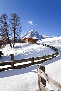 Winter snow covered mountain hut in front of Sassolungo mountain, 3181m, Val Gardena, Dolomites, South Tirol, Trentino-Alto Adige, Italy, Europe