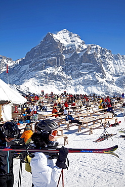 Mountain restaurant with the Wetterhorn mountain, 3692m, in the background, Grindelwald, Jungfrau region, Bernese Oberland, Swiss Alps, Switzerland, Europe