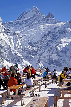 Relaxing outside a mountain restaurant in front of the peaks of the Schreckhorn mountain, 4078m, Grindelwald, Jungfrau region, Bernese Oberland, Swiss Alps, Switzerland, Europe