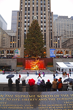 Christmas tree in front of the Rockefeller Centre building on Fifth Avenue, Manhattan, New York City, New York, United States of America, North America