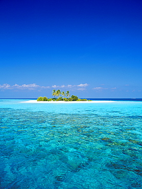 Deserted island, Maldives, Indian Ocean