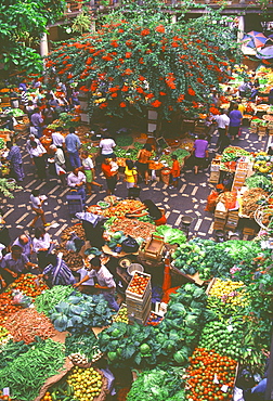 View over fruit and vegetable market, Funchal, Madeira, Portugal, Europe