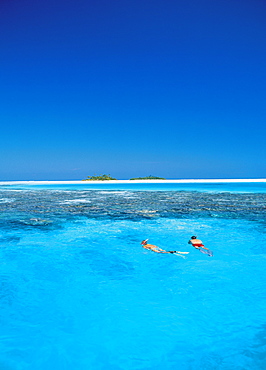 Couple snorkelling in the Maldives, Indian Ocean, Asia