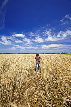 Boy running in wheat field, France, Europe