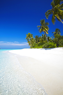 Tropical island, Maldives, Indian Ocean, Asia