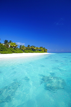 Tropical beach and lagoon, Maldives, Indian Ocean, Asia