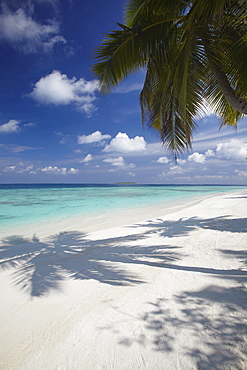 Tropical beach, Maldives, Indian Ocean, Asia